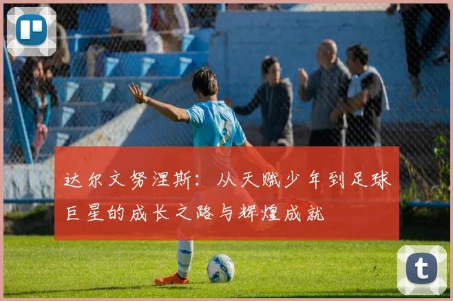 达尔文努涅斯：从天赋少年到足球巨星的成长之路与辉煌成就
