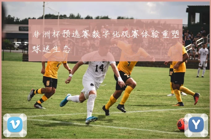 非洲杯预选赛数字化观赛体验重塑球迷生态