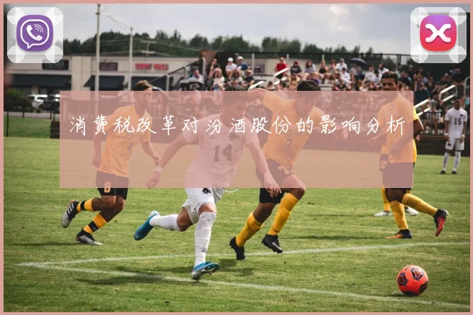 消费税改革对汾酒股份的影响分析