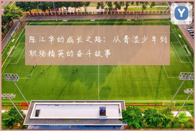 陈江华的成长之路：从青涩少年到职场精英的奋斗故事