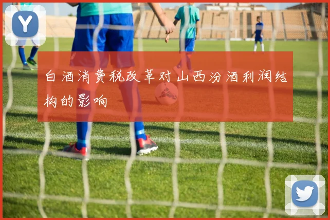 白酒消费税改革对山西汾酒利润结构的影响