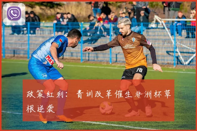 政策红利：青训改革催生非洲杯草根逆袭